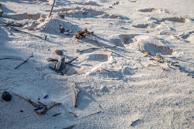 High angle view of footprints on sand