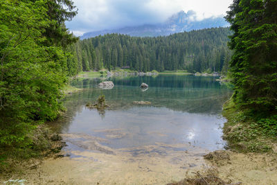 Scenic view of lake in forest against sky