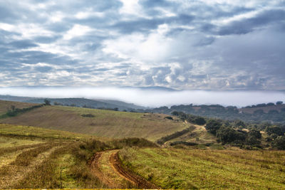 Scenic view of landscape against sky