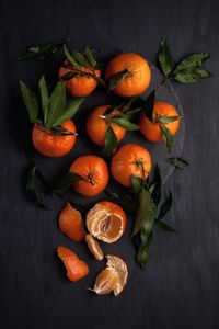 High angle view of orange fruit against black background