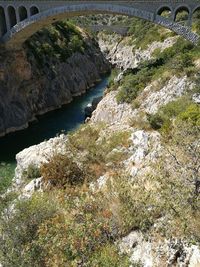 High angle view of trees