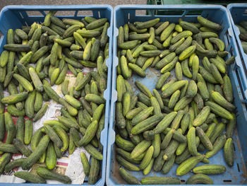 High angle view of vegetables for sale at market stall