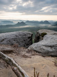 Broken old bonsai pine root. view from kleiner winterberg, saxon switzerland.