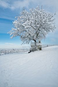 Scenic view of snow covered field against sky