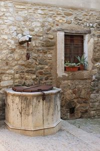 Potted plants on wall of building