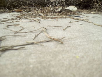 Close-up of sand