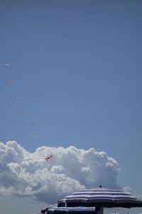 Low angle view of bird flying in sky