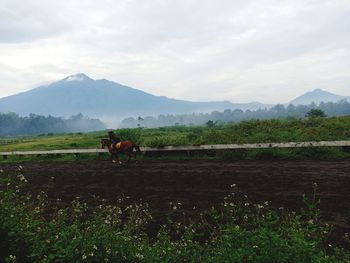 Panoramic photos in indoensian,beautifull place 