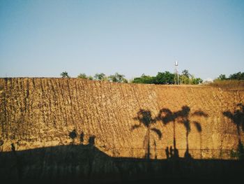 Scenic view of field against clear sky