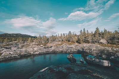 Scenic view of rocks by trees against sky