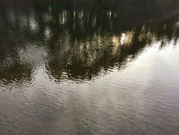 Reflection of trees in water