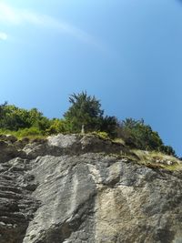 Low angle view of trees against sky