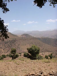 Scenic view of desert against sky