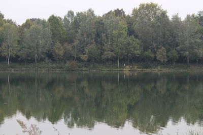 Reflection of trees in lake against sky