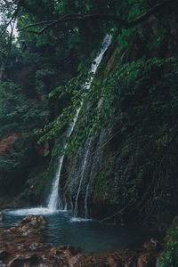 Scenic view of waterfall in forest