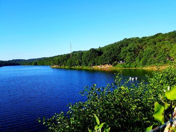 Scenic view of lake against clear blue sky