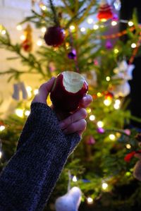 Close-up of hand holding christmas tree