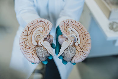 Scientist showing halves of artificial human brain part while standing at laboratory