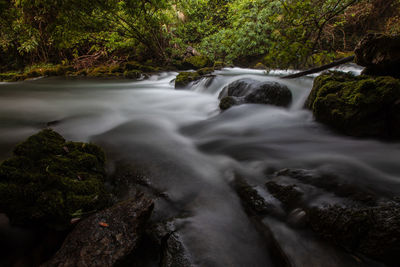 Scenic view of waterfall in forest