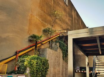 Low angle view of tree and building against sky