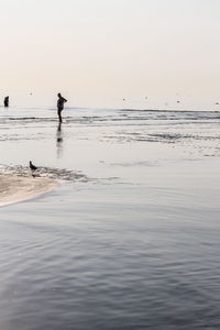 Silhouette man on beach against sky