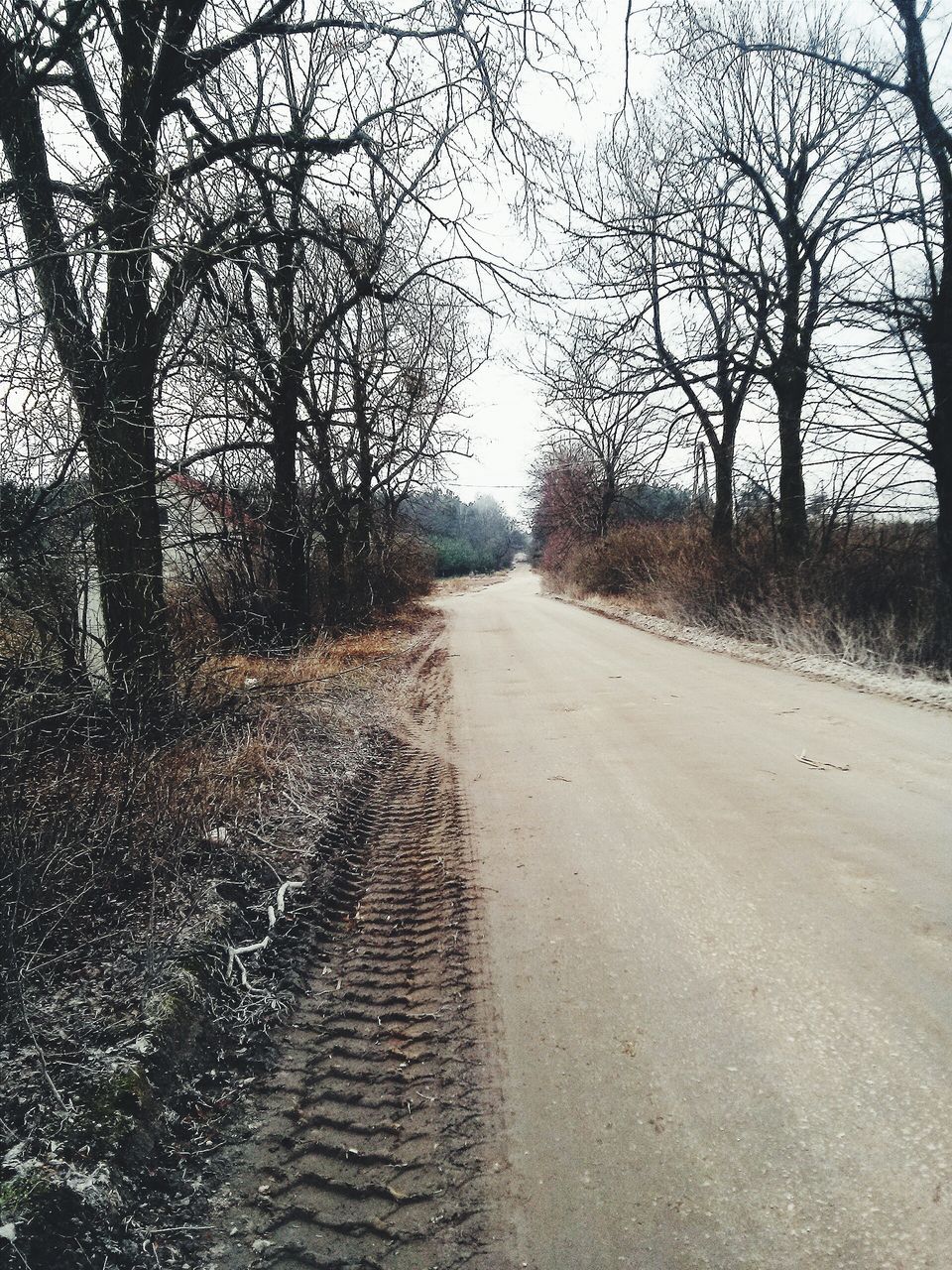 the way forward, tree, diminishing perspective, vanishing point, bare tree, road, transportation, tranquility, dirt road, tranquil scene, empty road, nature, country road, empty, long, street, landscape, sky, branch, outdoors