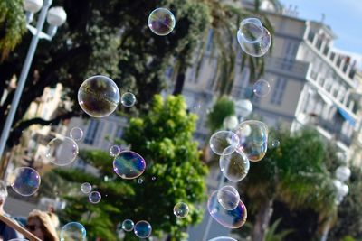 Close-up of bubbles against trees