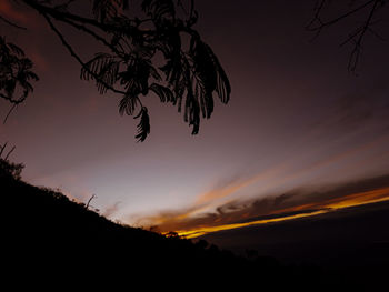 Low angle view of silhouette trees against sky at sunset