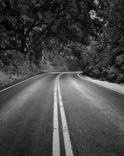 Empty road along trees