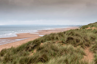 Scenic view of grassy beach against cloudy sky