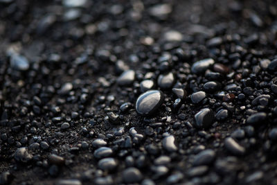 Close-up of wet pebbles at beach