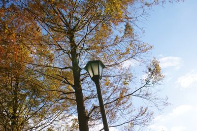 Low angle view of street light against sky