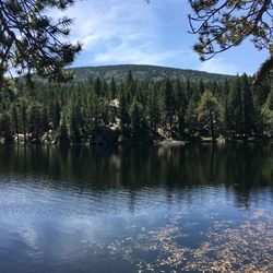 Scenic view of lake in forest against sky