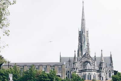 Low angle view of bird flying in city against clear sky