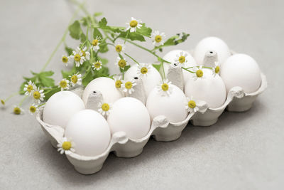 Close-up of eggs and plants on table