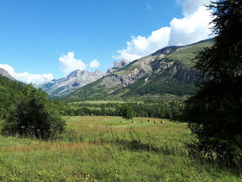 Scenic view of field against sky