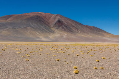 Scenic view of desert against sky