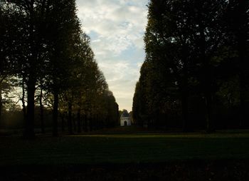 Trees on landscape against sky