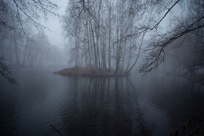 Scenic view of lake