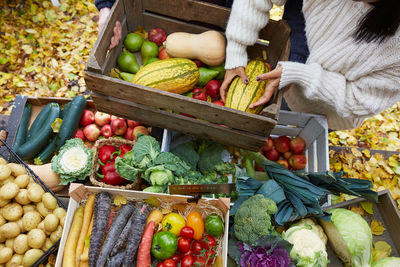 High angle view of woman arranging pumpkin in basket at yard