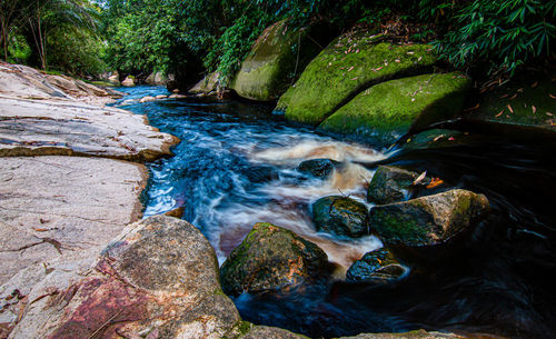 Stream flowing through rocks in forest