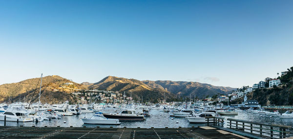 Boats moored at harbor against clear sky