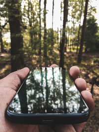 Midsection of person holding plant in forest