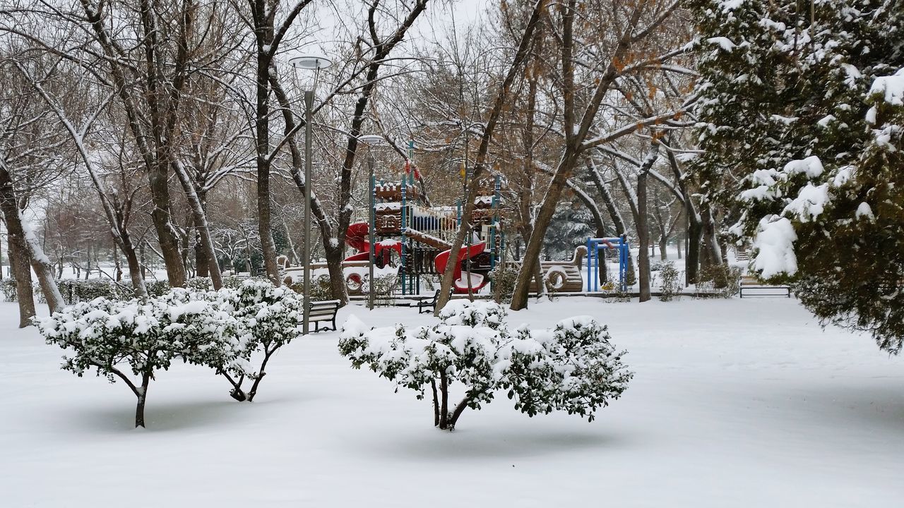 tree, branch, season, winter, growth, nature, tranquility, bare tree, snow, cold temperature, tranquil scene, weather, beauty in nature, day, sky, outdoors, park - man made space, scenics, lake