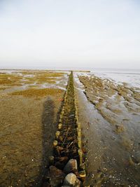 Surface level of dirt road leading towards beach