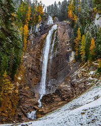 Scenic view of waterfall in forest