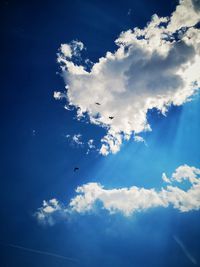 Low angle view of birds flying in sky