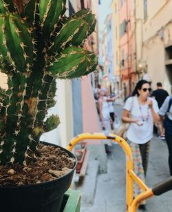People standing by plants in city