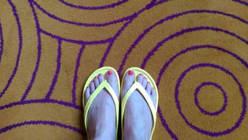 Low section of person standing on carpet