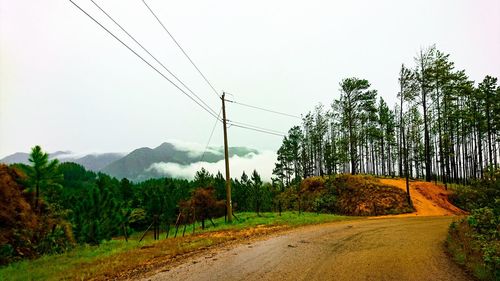 Road amidst trees and plants against sky